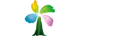 小九直播